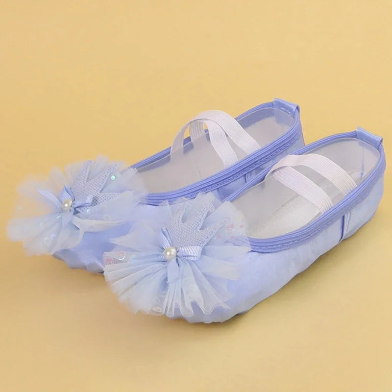 Professional Training  Ballet  Satin Crown Lace Style Girls Dance Shoes