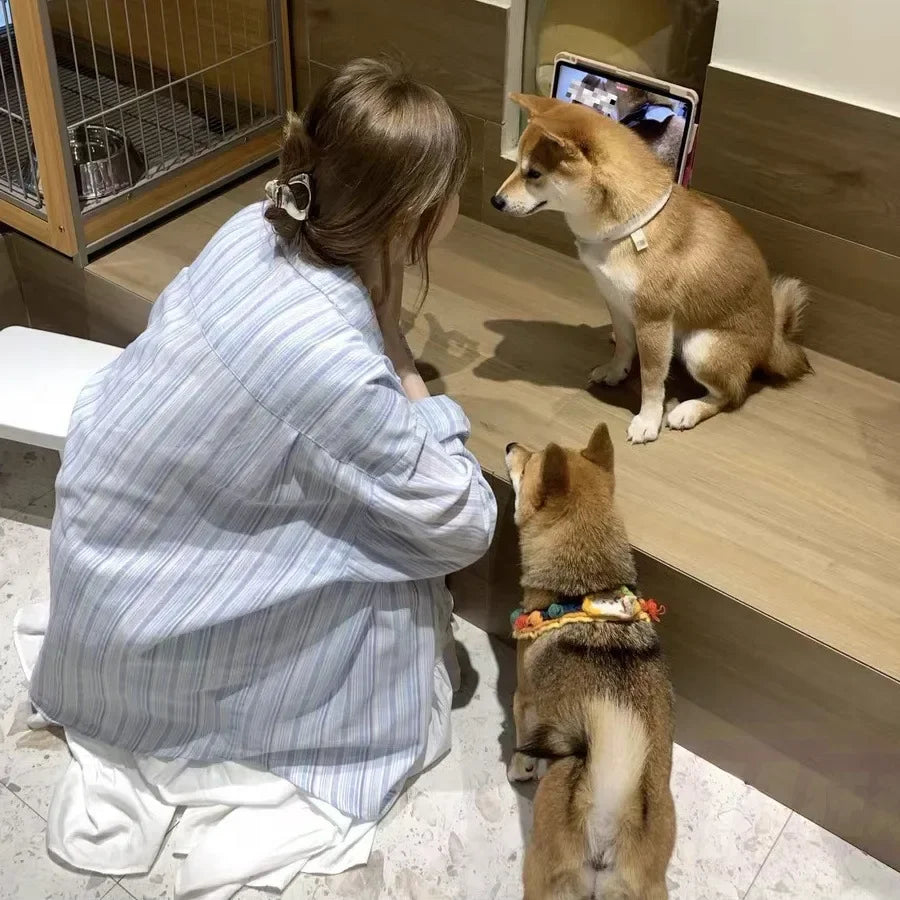 Cross-Border Factory Export Xiong Cardiganblue Striped Top